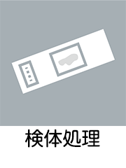 臨床検査技師（予防医療事業部）仕事内容